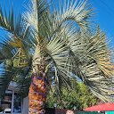 ������� 2025 ���. �� ������� �������� 2025 ���.�