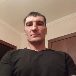 , 41 , --