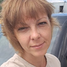 �������, �������, 38 ���