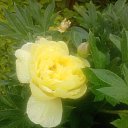 ���� �����, ������� - ��������� 29 ������� 2024 � ������ ���� ����������