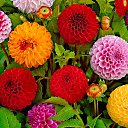 ���� �����, ������-���� - ��������� 1 �������� 2025 � ������ ���� ����������