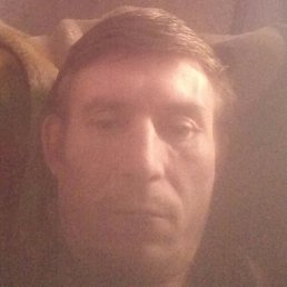 ����, �������, 40 ���