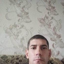 , 40, 