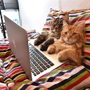 ���� ������ ����-115 ��., �������, 38 ��� - ��������� 7 ������ 2024 � ������ ���� ����������