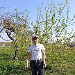  Viktor, , 44  -  21  2025