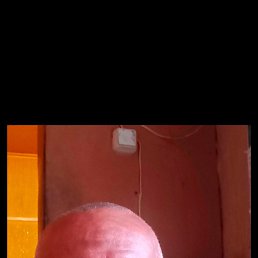 ������, 49 ���, ����