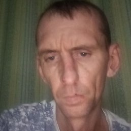 ����, �������, 43 ����