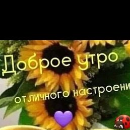 ���������, ������, 61 ���