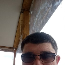 , 37, 