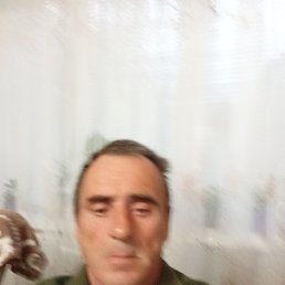 , 53, 