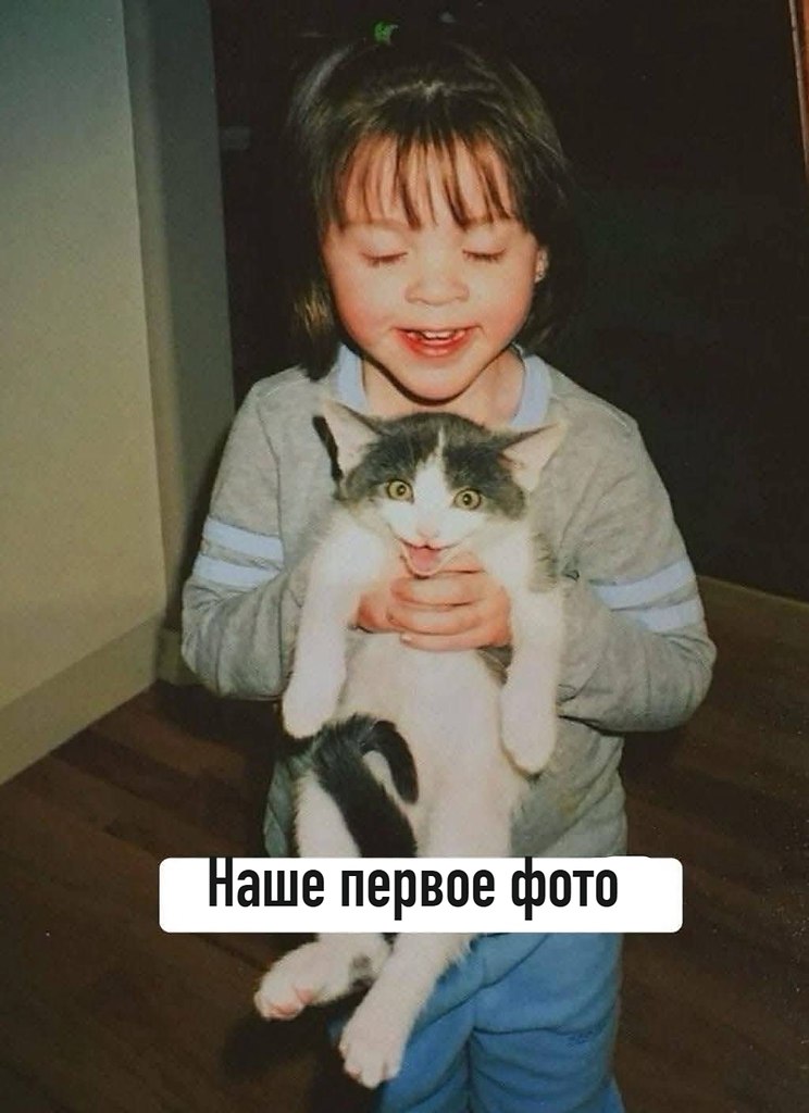������ ������... �� �� ������ �� ����������