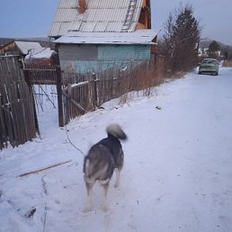 �������, ������, 58 ���