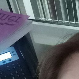 ������, �������, 51 ���