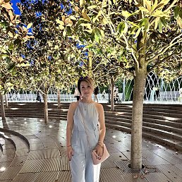 ���� �����, ���������, 50 ��� - ��������� 28 ������ 2026