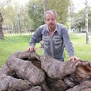 ���� �������, ����-���������, 53 ���� - ��������� 7 ������ 2026 � ������ ���� ����������