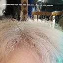 ���� ���, ���������, 65 ��� - ��������� 20 ������ 2026 � ������ ���� ����������