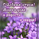 ���� �������, ������, 59 ��� - ��������� 3 ������� 2024 � ������ ���� ����������