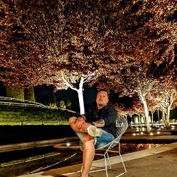 ����, 37 ���, ����