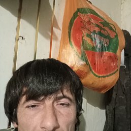 ���� �����, ������, 46 ��� - ��������� 3 ����� 2026