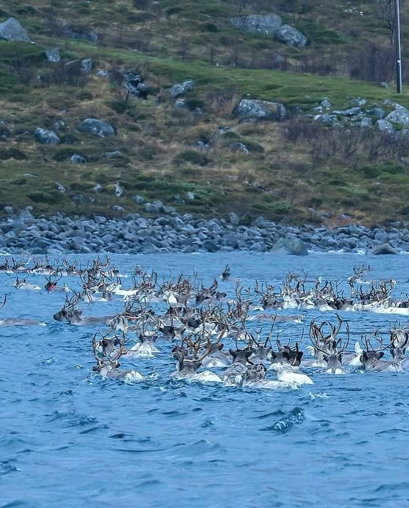 :) ����� 600 ������ �����-�� �������� ���� ���������� � ������� ����. ��� ����� ����������, ����� �� ...