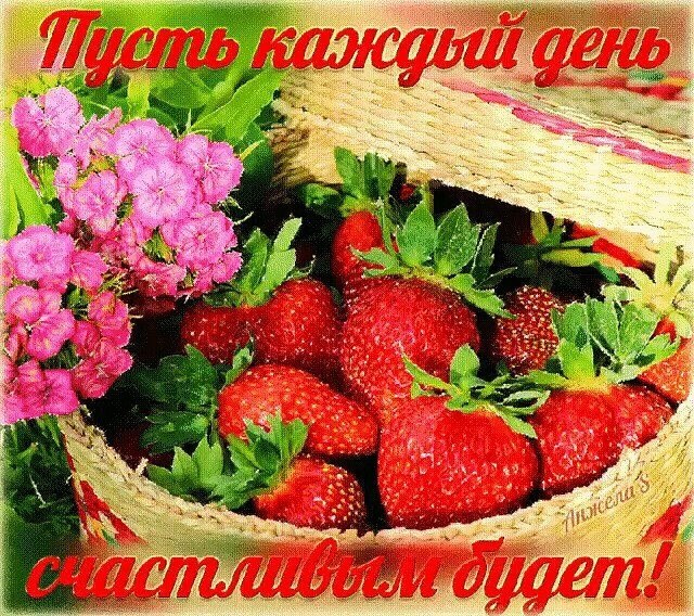   - 13  2024  22:20
