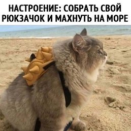 ���� �����, �������������� - ��������� 14 ������� 2026