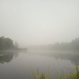 �������, ����, 35 ���