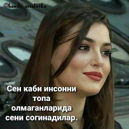 ������, ������, 40 ���