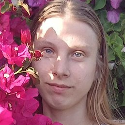 ��������, �����, 23 ����