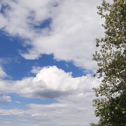 Victor, �������, 50 ���