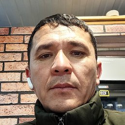 ������, ������, 41 ���