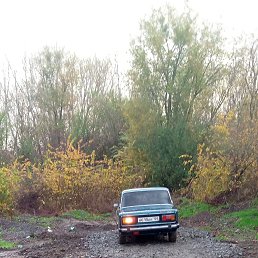 ���� ����, �������, 34 ���� - ��������� 6 ������ 2023