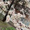 ���� ��������., �������������� - ��������� 30 ����� 2025 � ������ ������ ��������