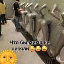 ���� ���������, ���������, 44 ���� - ��������� 11 ������� 2026 � ������ ������ ��������
