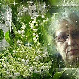 �������� ˸����, ���������, 73 ����