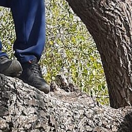 �������, �������, 49 ���