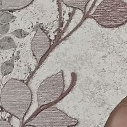 �������, 54 ����, ����