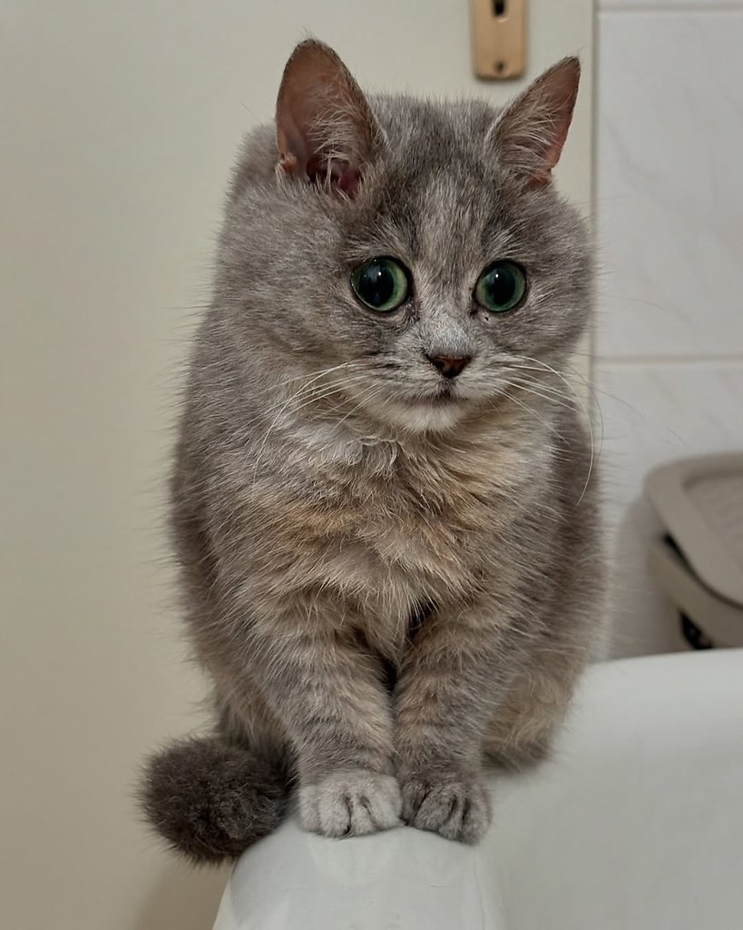 Ÿ  .   2 .           ...