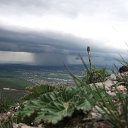 ���� �, ����������, 35 ��� - ��������� 21 ������ 2024 � ������ ���� ����������