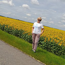 �������, ������, 65 ���