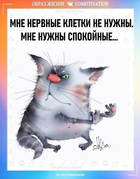Co-Motivation....����� �����. - 17 ��� 2025 � 00:15