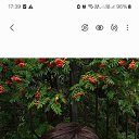  Lyudmila, , 51  -  7  2025