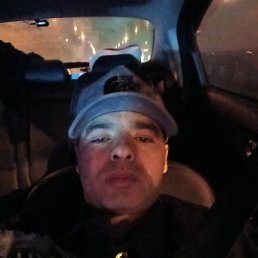 ���� ����, ������, 43 ���� - ��������� 14 ������� 2026