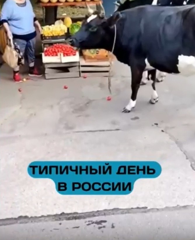 ocpoco oac opo  a po o poapa. opoe  ece e ae opo, ...