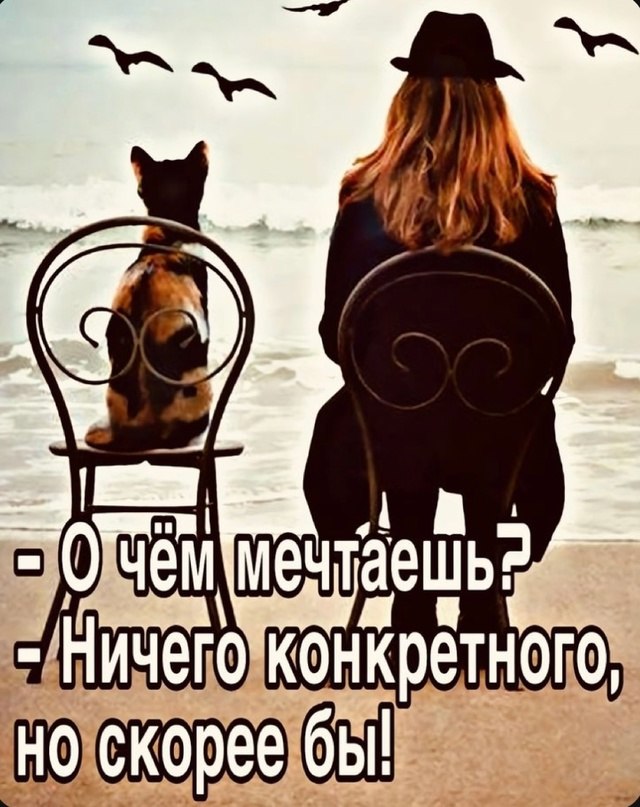 ��� ���� - 8 ����� 2026 � 17:59