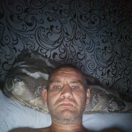 , 41 , 