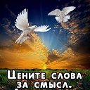 ���� �����, ����������� - ��������� 21 ���� 2025 � ������ ���� ����������