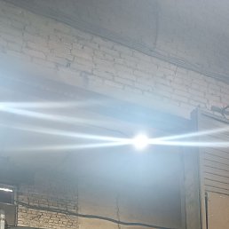 �������, 43 ����, �����������