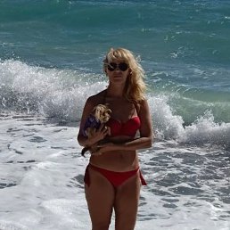 ���� ����, �����������, 41 ��� - ��������� 29 ���� 2026