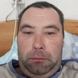 �����, �������, 37 ���